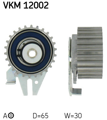 VKM 12002