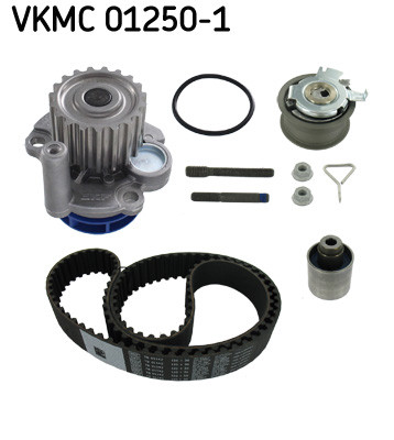 VKMC 01250-1