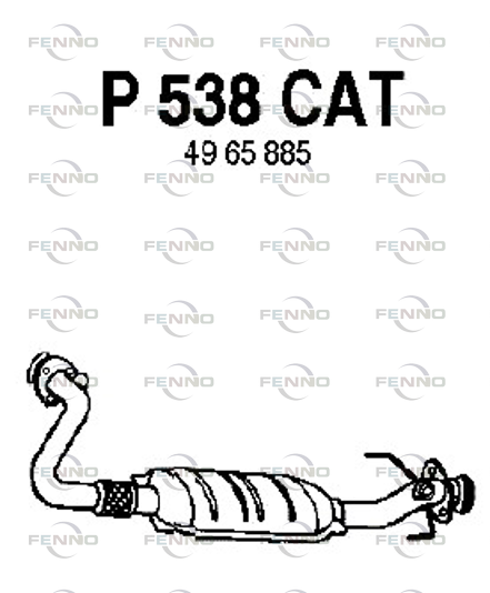 P538CAT FENNO