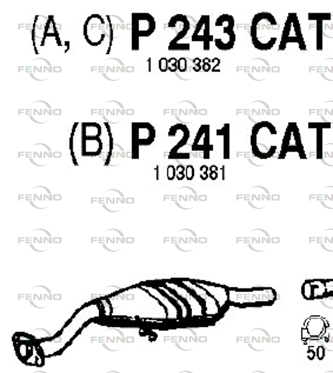 P243CAT FENNO