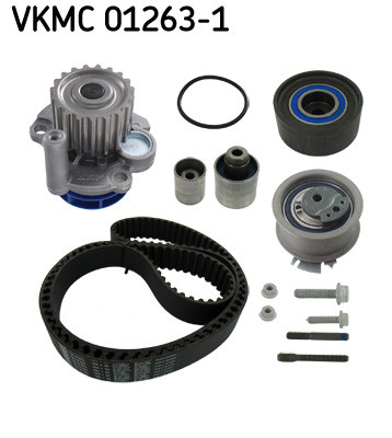 VKMC 01263-1