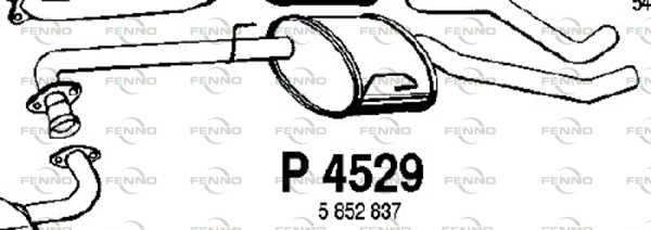 P4529 FENNO