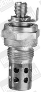 GF186 BORGWARNER (BERU