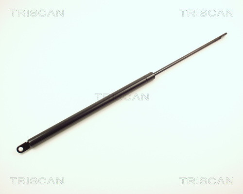 8710 2906 TRISCAN