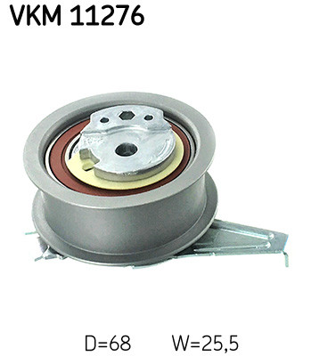 VKM 11276