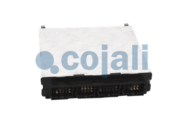 350245 COJALI