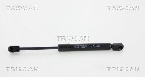 8710 50245 TRISCAN