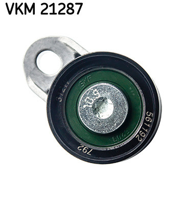 VKM 21287