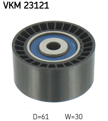 VKM 23121