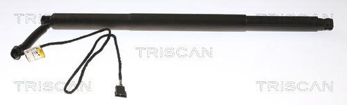 8710 11311 TRISCAN