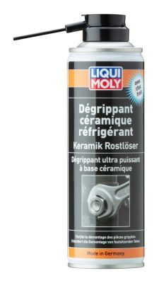 21519 LIQUI MOLY