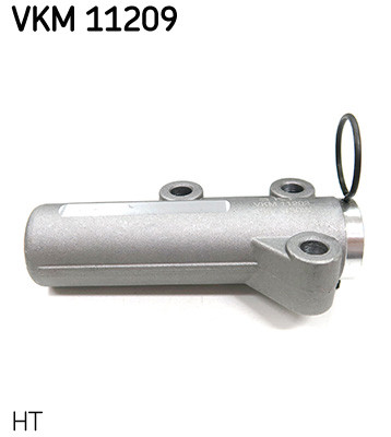 VKM 11209