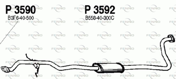 P3592 FENNO