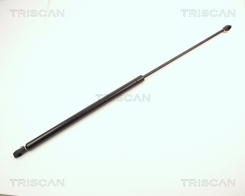 8710 2004 TRISCAN