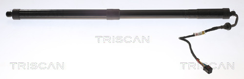 8710 16301 TRISCAN