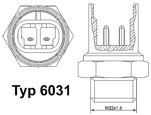 6031.100D