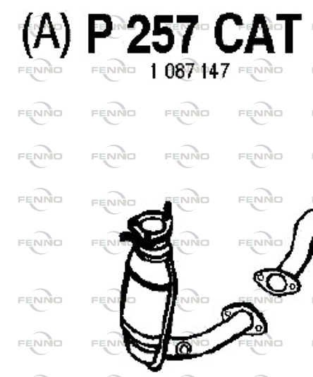 P257CAT FENNO