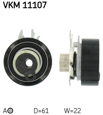 VKM 11107