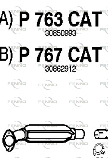 P763CAT FENNO