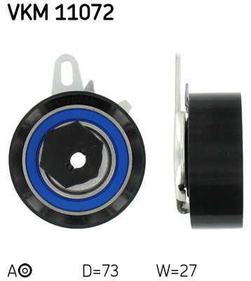 VKM 11072