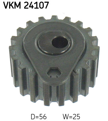 VKM 24107