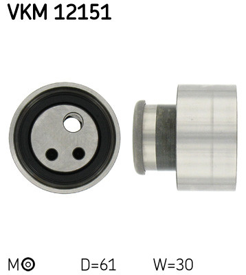 VKM 12151