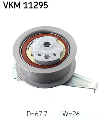 VKM 11295