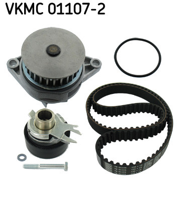 VKMC 01107-2