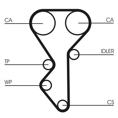 CT955WP1COT