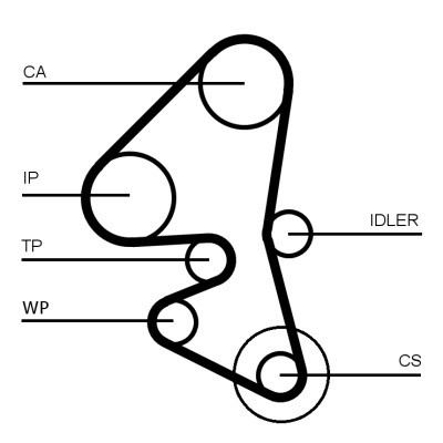 CT1162WP1COT