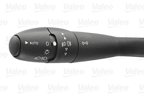 251491 VALEO