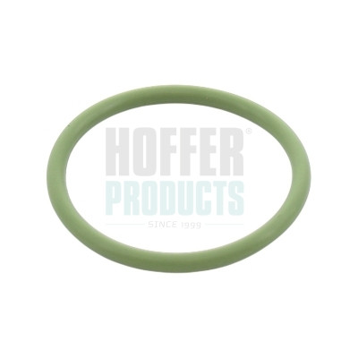 016473 HOFFER