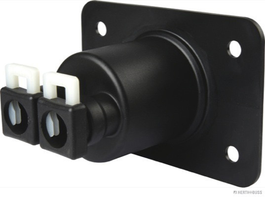 50281003
