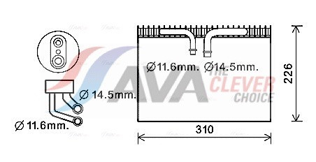 SBV072