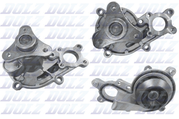 B258 DOLZ