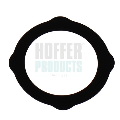 016233 HOFFER