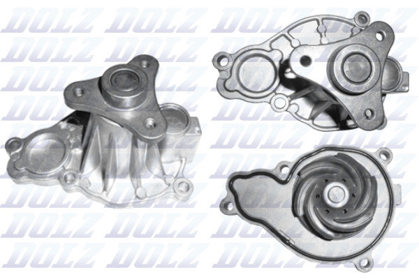 B256 DOLZ