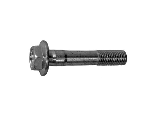 V41155COT