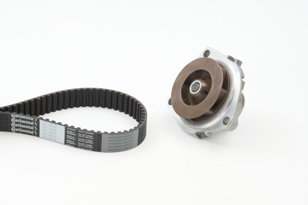 CT1076WP1COT