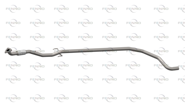 P43124 FENNO