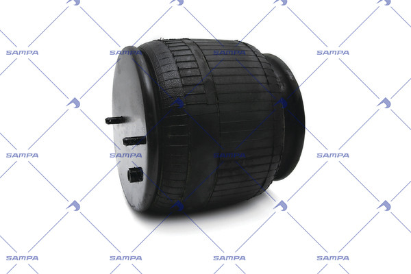 SP 556238-K