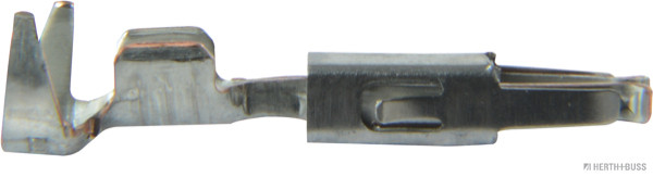 50251902