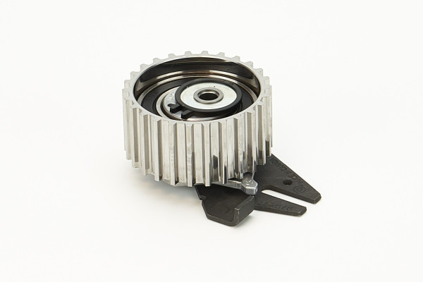 V56036COT