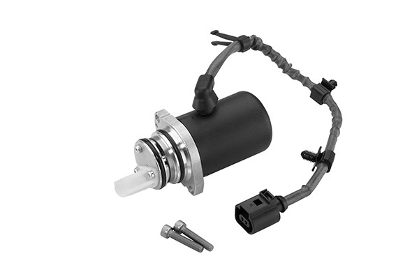 DS118613 BORGWARNER