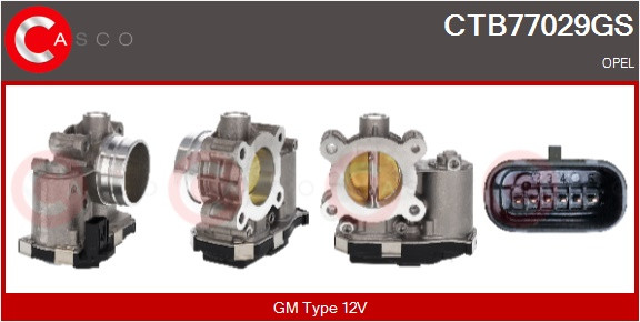 CTB77029GS