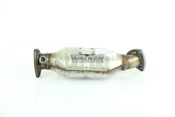 20197 WALKER