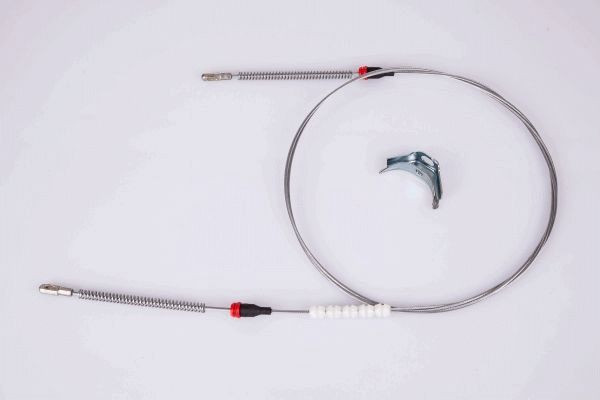 1000747989