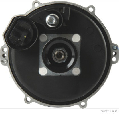 1000700494