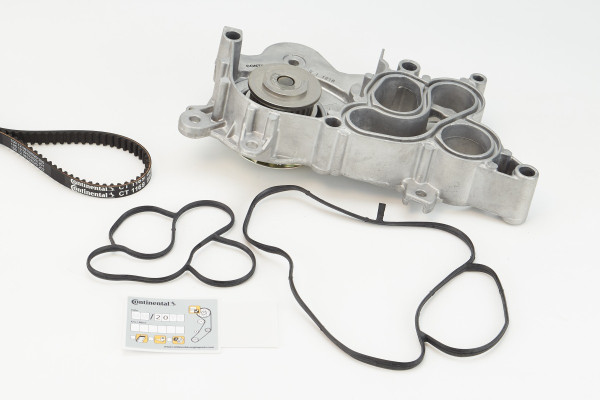 CT1169WP1COT