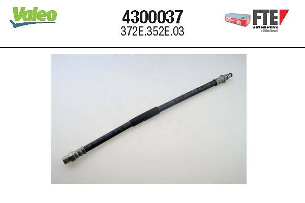 4300037 FTE